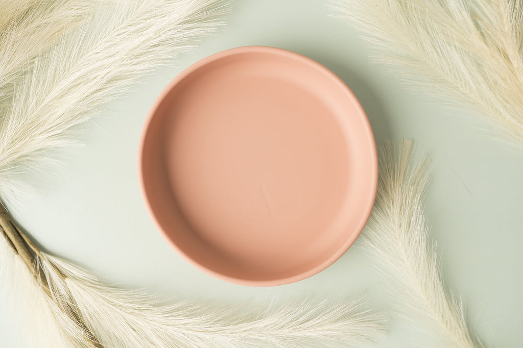 Silicone Dinner Plate - ashandco.nz